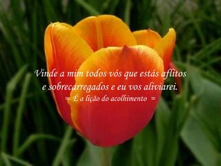 Vinde a mim todos vós que estás aflitos
e sobrecarregados e eu vos aliviarei.
= É a lição do acolhimento =
 