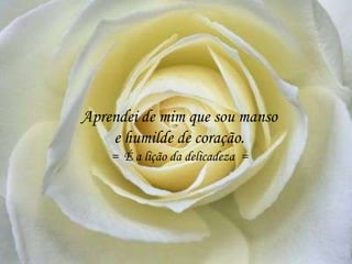 Aprendei de mim que sou manso
e humilde de coração.
= É a lição da delicadeza =
 
