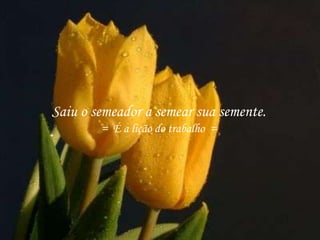 Saiu o semeador a semear sua semente.
= É a lição do trabalho =
 
