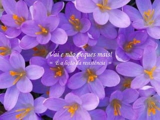 Vai e não peques mais!
= É a lição da resistência =
 
