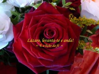 Lázaro, levanta-te e anda!
= É a lição da fé =
 