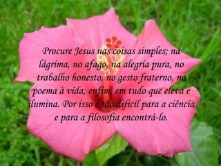 Procure Jesus nas coisas simples; na
lágrima, no afago, na alegria pura, no
trabalho honesto, no gesto fraterno, no
poema à vida, enfim, em tudo que eleva e
ilumina. Por isso é tão dificil para a ciência
e para a filosofia encontrá-lo.
 
