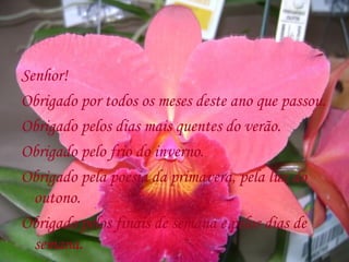 Senhor!
Obrigado por todos os meses deste ano que passou.
Obrigado pelos dias mais quentes do verão.
Obrigado pelo frio do inverno.
Obrigado pela poesia da primavera, pela luz do
  outono.
Obrigado pelos finais de semana e pelos dias de
  semana.
 