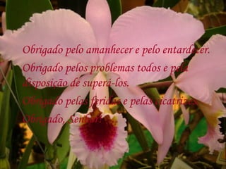 Obrigado pelo amanhecer e pelo entardecer.
Obrigado pelos problemas todos e pela
disposição de superá-los.
Obrigado pelas feridas e pelas cicatrizes.
Obrigado, Senhor!
 