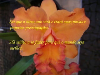 Sei que o novo ano virá e trará suas novas e
próprias preocupações.

Há muito a se fazer para que o mundo seja
melhor.
 
