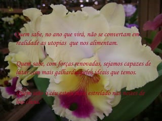 Quem sabe, no ano que virá, não se convertam em
realidade as utopias que nos alimentam.

Quem sabe, com forças renovadas, sejamos capazes de
lutar com mais galhardia pelos ideais que temos.

Quem sabe o céu esteja mais estrelado nas noites de
lua cheia.
 