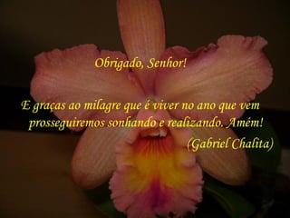 Obrigado, Senhor!

E graças ao milagre que é viver no ano que vem
 prosseguiremos sonhando e realizando. Amém!
                                 (Gabriel Chalita)
 