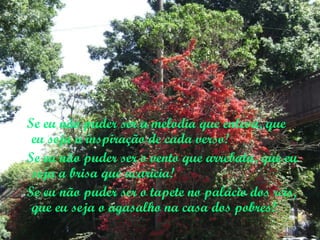 Se eu não puder ser a melodia que enleva, que
 eu seja a inspiração de cada verso!
Se eu não puder ser o vento que arrebata, que eu
 seja a brisa que acaricia!
Se eu não puder ser o tapete no palácio dos reis,
 que eu seja o agasalho na casa dos pobres!
 