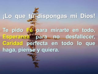 ¡Lo que tú dispongas mi Dios!
Te pido Fé para mirarte en todo,
Esperanza para no desfallecer,
Caridad perfecta en todo lo que
haga, piense y quiera.

 