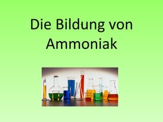 . Die Bildung von Ammoniak 