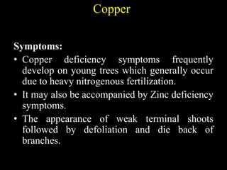 Copper
Symptoms:
• Copper deficiency symptoms frequently
develop on young trees which generally occur
due to heavy nitrogenous fertilization.
• It may also be accompanied by Zinc deficiency
symptoms.
• The appearance of weak terminal shoots
followed by defoliation and die back of
branches.
 