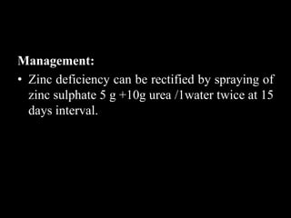 Management:
• Zinc deficiency can be rectified by spraying of
zinc sulphate 5 g +10g urea /1water twice at 15
days interval.
 