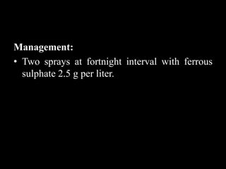 Management:
• Two sprays at fortnight interval with ferrous
sulphate 2.5 g per liter.
 