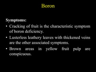 Boron
Symptoms:
• Cracking of fruit is the characteristic symptom
of boron deficiency.
• Lusterless leathery leaves with thickened veins
are the other associated symptoms.
• Brown areas in yellow fruit pulp are
conspicuous.
 