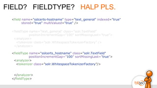 FIELD? FIELDTYPE? HALP PLS.
<field name="sslcerts-hostname" type="text_general" indexed="true"
stored="true" multiValued="true" />
<fieldType name="text_general" class="solr.TextField"
positionIncrementGap=”100” sortMissingLast=”true”>
<analyzer>
<tokenizer class=”solr.WhitespaceTokenizerFactory” />
</analyzer>
<fieldType name="sslcerts_hostname" class="solr.TextField"
positionIncrementGap=”100” sortMissingLast=”true”>
<analyzer>
<tokenizer class=”solr.WhitespaceTokenizerFactory”/>
</analyzer>
</fieldType>
 