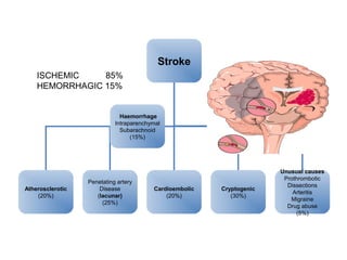 Stroke
Atherosclerotic
(20%)
Cryptogenic
(30%)
Unusual causes
Prothrombotic
Dissections
Arteritis
Migraine
Drug abuse
(5%)
Haemorrhage
Intraparenchymal
Subarachnoid
(15%)
Cardioembolic
(20%)
Penetating artery
Disease
(lacunar)
(25%)
ISCHEMIC 85%
HEMORRHAGIC 15%
 