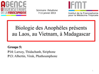Biologie des Anophèles présents
au Laos, au Vietnam, à Madagascar
Groupe 5:
P14: Larxoy, Thidachanh, Siriphone
P13: Albertin, Virak, Phathoumphone
Séminaire Paludisme
7-11 janvier 2013
1
 