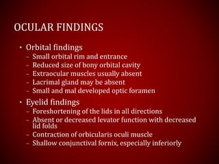 OCULAR FINDINGS
• Orbital findings
– Small orbital rim and entrance
– Reduced size of bony orbital cavity
– Extraocular muscles usually absent
– Lacrimal gland may be absent
– Small and mal developed optic foramen
• Eyelid findings
– Foreshortening of the lids in all directions
– Absent or decreased levator function with decreased
lid folds
– Contraction of orbicularis oculi muscle
– Shallow conjunctival fornix, especially inferiorly
 