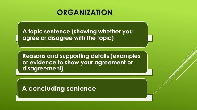 opinion paragraph definition