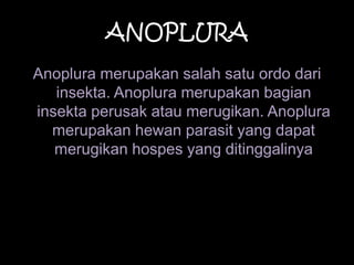 ANOPLURA
Anoplura merupakan salah satu ordo dari
insekta. Anoplura merupakan bagian
insekta perusak atau merugikan. Anoplura
merupakan hewan parasit yang dapat
merugikan hospes yang ditinggalinya
 