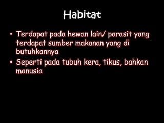 Habitat
• Terdapat pada hewan lain/ parasit yang
terdapat sumber makanan yang di
butuhkannya
• Seperti pada tubuh kera, tikus, bahkan
manusia
 