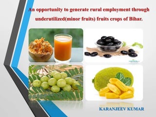 An opportunity to generate rural employment through
underutilized(minor fruits) fruits crops of Bihar.
KARANJEEV KUMAR
 