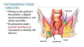 HDTV sucks just ANORECTAL ABSCESSES.pptx