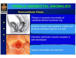 FEMALE ANORECTAL ANOMALIES 
M 
M 
M 
C 
Rectovestibular Fistula 
Fistula in posterior fourchette of 
vestibule behind hymenal ring 
Anterior rectum and posterior vagina join 
& forms common wall for 2-4 cms 
Voluntary sphincter muscle complex is 
well developed 
Vaginal anomalies are common 
 