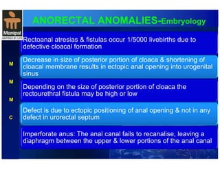 ANORECTAL ANOMALIES-Embryology 
Rectoanal atresias & fistulas occur 1/5000 livebirths due to 
defective cloacal formation 
Decrease in size of posterior portion of cloaca & shortening of 
cloacal membrane results in ectopic anal opening into urogenital 
sinus 
Depending on the size of posterior portion of cloaca the 
rectourethral fistula may be high or low 
Defect is due to ectopic positioning of anal opening & not in any 
defect in urorectal septum 
Imperforate anus: The anal canal fails to recanalise, leaving a 
diaphragm between the upper & lower portions of the anal canal 
M 
M 
M 
C 
 