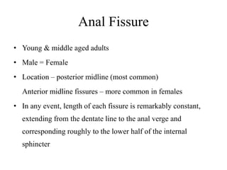 Anal Fissure
• Young & middle aged adults
• Male = Female
• Location – posterior midline (most common)
Anterior midline fissures – more common in females
• In any event, length of each fissure is remarkably constant,
extending from the dentate line to the anal verge and
corresponding roughly to the lower half of the internal
sphincter
 