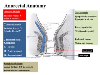 Anorectal Anatomy
Anal verge
Anal canal
Arterial Supply
Inferior rectal A
middle rectal A
Venous drainage
Inferior Rectal V
Middle Rectal V
3 Hemorrhoidal
Complexes
L - Lateral
R - Antero-lateral
R - Posterolateral
Lymphatic drainage
Above dentate: Inf. Mesenteric
Below dentate: Internal Iliac
Nerve Supply
Sympathetic: Superior
hypogastric plexus
Parasympathetic:
S234 (nerviergentis)
Pudendal Nerve:
Motor and Sensory
 
