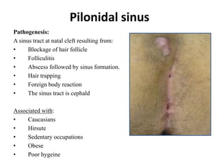 Pilonidal sinus
Pathogenesis:
A sinus tract at natal cleft resulting from:
• Blockage of hair follicle
• Folliculitis
• Abscess followed by sinus formation.
• Hair trapping
• Foreign body reaction
• The sinus tract is cephald
Associated with:
• Caucasians
• Hirsute
• Sedentary occupations
• Obese
• Poor hygeine
 