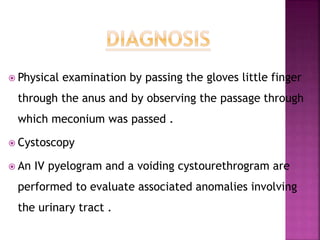  Physical examination by passing the gloves little finger
through the anus and by observing the passage through
which meconium was passed .
 Cystoscopy
 An IV pyelogram and a voiding cystourethrogram are
performed to evaluate associated anomalies involving
the urinary tract .
 