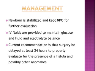  Newborn is stabilized and kept NPO for
further evaluation
 IV fluids are provided to maintain glucose
and fluid and electrolyte balance
 Current recommendation is that surgery be
delayed at least 24 hours to properly
evaluate for the presence of a fistula and
possibly other anomalies
 