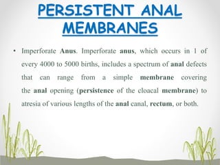 PERSISTENT ANAL
MEMBRANES
• Imperforate Anus. Imperforate anus, which occurs in 1 of
every 4000 to 5000 births, includes a spectrum of anal defects
that can range from a simple membrane covering
the anal opening (persistence of the cloacal membrane) to
atresia of various lengths of the anal canal, rectum, or both.
 