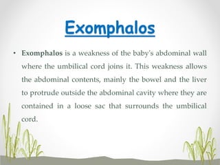 Exomphalos
• Exomphalos is a weakness of the baby's abdominal wall
where the umbilical cord joins it. This weakness allows
the abdominal contents, mainly the bowel and the liver
to protrude outside the abdominal cavity where they are
contained in a loose sac that surrounds the umbilical
cord.
 