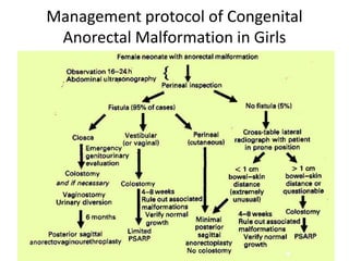 Management protocol of Congenital
Anorectal Malformation in Girls
 