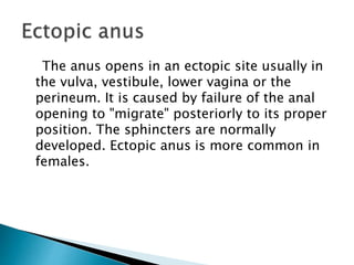 The anus opens in an ectopic site usually in
the vulva, vestibule, lower vagina or the
perineum. It is caused by failure of the anal
opening to "migrate" posteriorly to its proper
position. The sphincters are normally
developed. Ectopic anus is more common in
females.
 