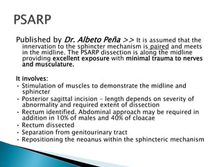 Published by Dr. Albeto Peña >> It is assumed that the
innervation to the sphincter mechanism is paired and meets
in the midline. The PSARP dissection is along the midline
providing excellent exposure with minimal trauma to nerves
and musculature.
It involves:
• Stimulation of muscles to demonstrate the midline and
sphincter
• Posterior sagittal incision - length depends on severity of
abnormality and required extent of dissection
• Rectum identified. Abdominal approach may be required in
addition in 10% of males and 40% of cloacae
• Rectum dissected
• Separation from genitourinary tract
• Repositioning the neoanus within the sphincteric mechanism
 