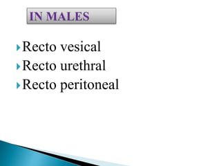 Recto vesical
Recto urethral
Recto peritoneal
 