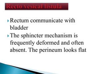 Rectum communicate with
bladder
The sphincter mechanism is
frequently deformed and often
absent. The perineum looks flat
 