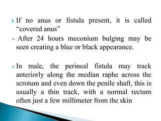  If no anus or fistula present, it is called
“covered anus”
 After 24 hours meconium bulging may be
seen creating a blue or black appearance.
In male, the perineal fistula may track
anteriorly along the median raphe across the
scrotum and even down the penile shaft, this is
usually a thin track, with a normal rectum
often just a few millimeter from the skin
 