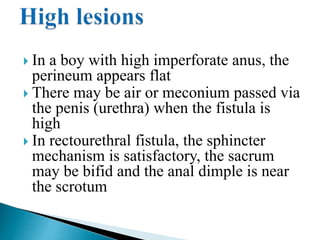  In a boy with high imperforate anus, the
perineum appears flat
 There may be air or meconium passed via
the penis (urethra) when the fistula is
high
 In rectourethral fistula, the sphincter
mechanism is satisfactory, the sacrum
may be bifid and the anal dimple is near
the scrotum
 