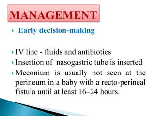  Early decision-making
 IV line - fluids and antibiotics
 Insertion of nasogastric tube is inserted
 Meconium is usually not seen at the
perineum in a baby with a recto-perineal
fistula until at least 16–24 hours.
 