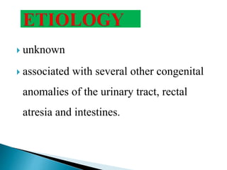  unknown
 associated with several other congenital
anomalies of the urinary tract, rectal
atresia and intestines.
 