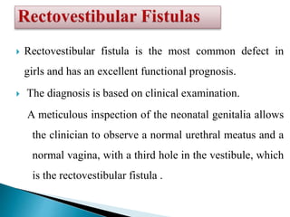  Rectovestibular fistula is the most common defect in
girls and has an excellent functional prognosis.
 The diagnosis is based on clinical examination.
A meticulous inspection of the neonatal genitalia allows
the clinician to observe a normal urethral meatus and a
normal vagina, with a third hole in the vestibule, which
is the rectovestibular fistula .
 