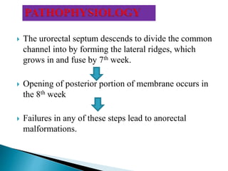  The urorectal septum descends to divide the common
channel into by forming the lateral ridges, which
grows in and fuse by 7th week.
 Opening of posterior portion of membrane occurs in
the 8th week
 Failures in any of these steps lead to anorectal
malformations.
 