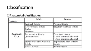 Classification
Anatomical classification
 