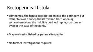 Rectoperineal fistula
Sometimes, the fistula does not open into the perineum but
rather follows a subepithelial midline tract, opening
somewhere along the midline perineal raphe, scrotum, or
even at the base of the penis.
Diagnosis established by perineal inspection
No further investigations required.
 