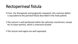 Rectoperineal fistula
 From the therapeutic and prognostic viewpoint, this common defect
is equivalent to the perineal fistula described in the male patient.
 The rectum is well positioned within the sphincter mechanism, except
for its lower portion, which is anteriorly located
 The rectum and vagina are well separated.
 